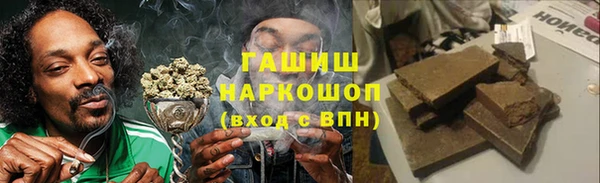 индика Балахна