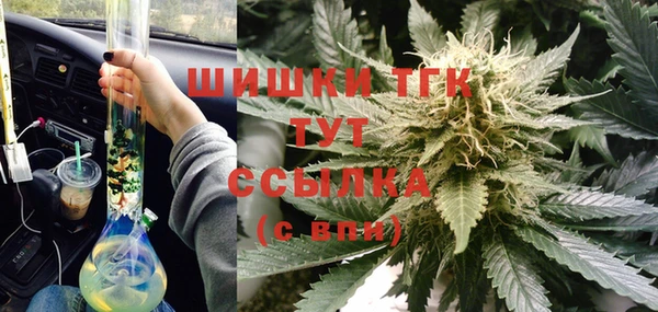 индика Балахна