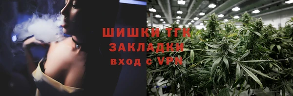 индика Балахна