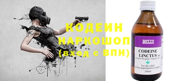 индика Балахна