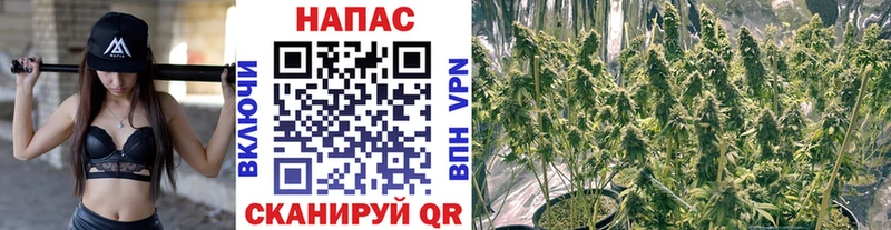 Канабис марихуана  сайты даркнета какой сайт  Каспийск 